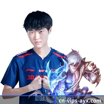 国际化布局（AYX）